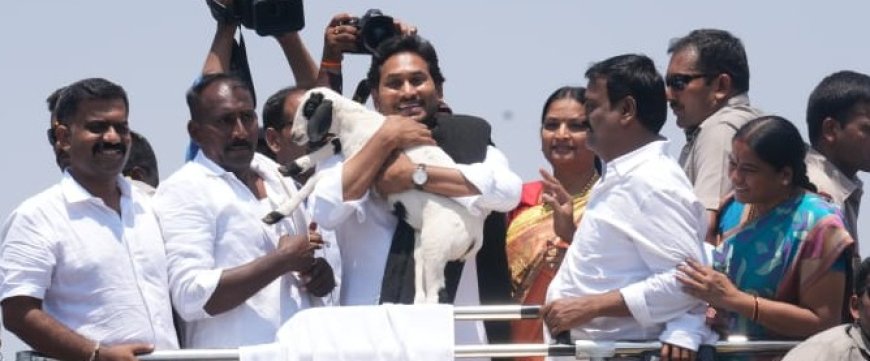 మేమంతా సిద్ధం అప్డేట్స్