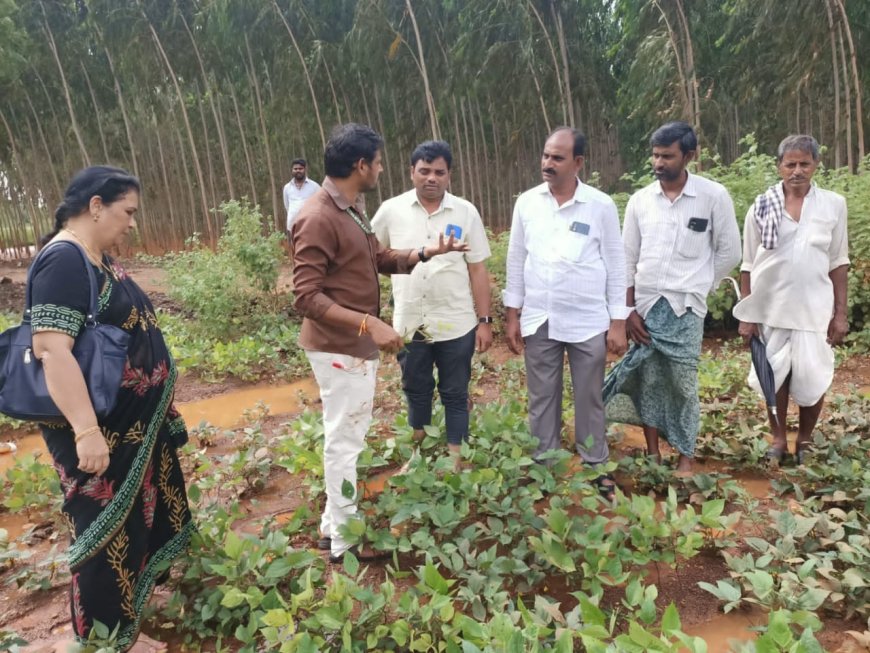 ఫెంగల్ తుఫాన్ ప్రభావంతో దెబ్బతిన్న పంటలను పరిశీలించిన వ్యవసాయ శాఖ అధికారులు