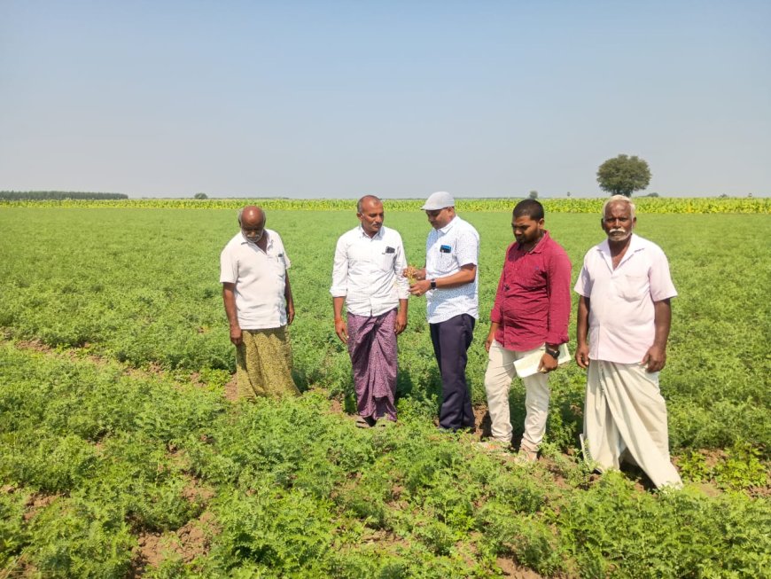 రబీ సీజన్ లో సాగు చేసిన అన్ని పంటలకు తప్పనిసరిగా పంట నమోదు చేసుకోవాలి