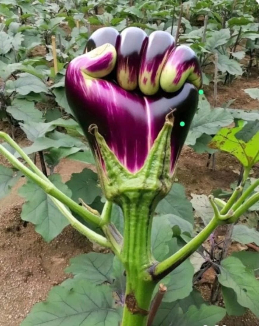 అద్భుతం కదా ఇది...
