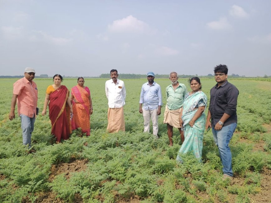 శాఖవరం పరిధిలో రైతులతో కలసి శనగ పంటను పరిశీలించిన వ్యవసాయ శాఖ అధికారులు