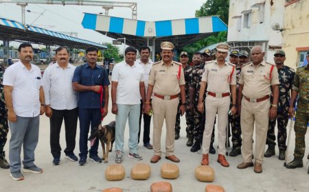 రైలులో 14 కేజీల గంజాయిని  స్వాధీనం చేసుకున్న ప్రకాశం పోలీసులు