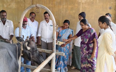 పశు వైద్య శిబిరాలను సద్వినియోగం చేసుకోవాలి