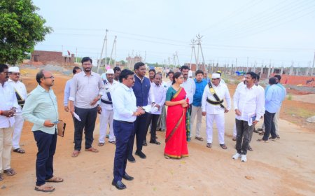 కర్లపాలెం నిర్వాసితులకు నిర్మిస్తున్న పునరావాస కాలనీని పరిశీలించిన కలెక్టర్