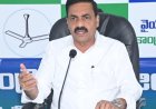 రామాయపట్నం  పోర్టు   ప్రైవేటీకరణ తగదు  - కాకాణి