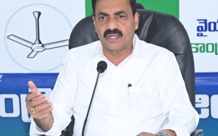 రామాయపట్నం  పోర్టు   ప్రైవేటీకరణ తగదు  - కాకాణి
