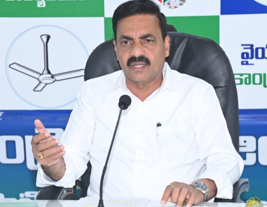 రామాయపట్నం  పోర్టు   ప్రైవేటీకరణ తగదు  - కాకాణి