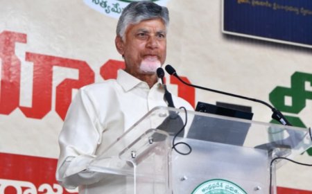 వెలుగొండతో ప్రకాశం జిల్లాకి  నీళ్లు- అన్ని ప్రాంతాల అభివృద్ధి లక్ష్యం సీఎం
