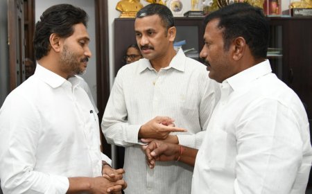 మాజీ ముఖ్యమంత్రి వైయస్ జగన్ మోహన్ రెడ్డిని కలిసిన  ఇంటూరి హరిబాబు